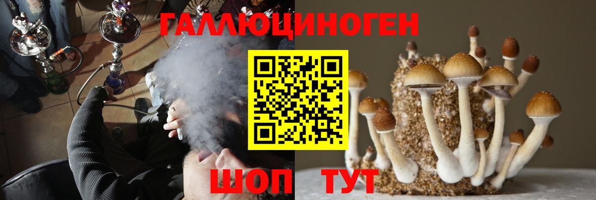 Галлюциногенные грибы ЛСД Йошкар-Ола
